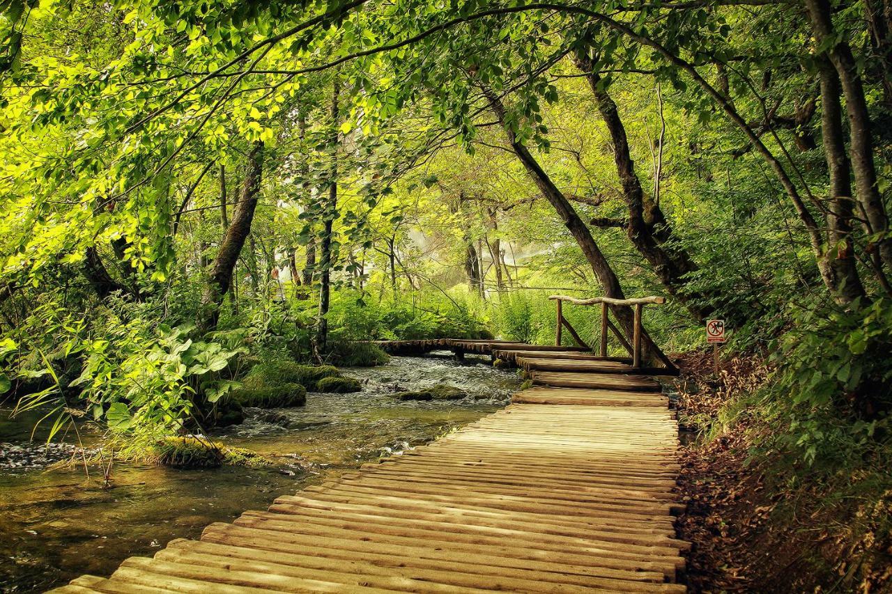 Lujko Plitvice Plitvička Jezera